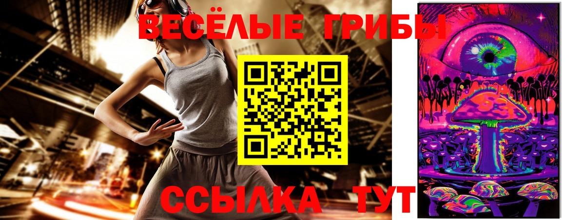 Псилоцибиновые грибы Cubensis  Красноярск 