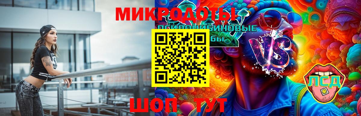 Псилоцибиновые грибы мицелий  закладка  Красноярск  Вход с VPN 